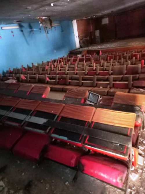 فرهنگ بی فرهنگ؛ آموزشگاه زبان را عشق است!