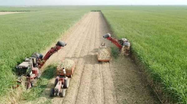 کشت‌و‌صنعت نیشکر امام خمینی‌(ره) در راه ورود به بورس