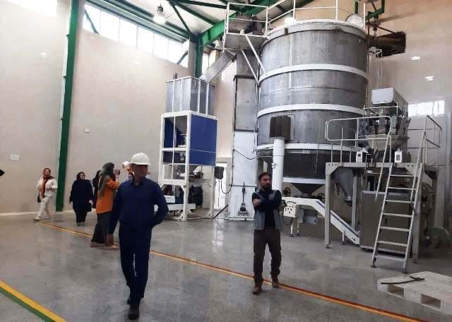 نیستانی سبز، شکرستانی قهوه ای! نیستانی سبز، شکرستانی قهوه ای!