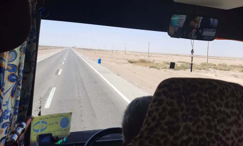 نیستانی سبز، شکرستانی قهوه ای! نیستانی سبز، شکرستانی قهوه ای!