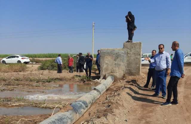 برداشتی از برداشت نیشکرهای امیرکبیر