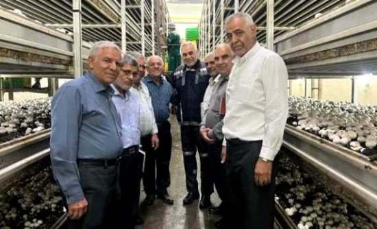 کندوکاوی در امنیت غذایی مردم!