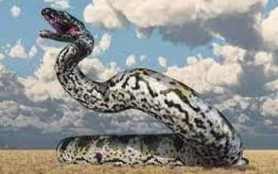 پیچیدن مار پیتون به دور پای شکارچی/ویدیو