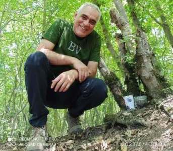 از جنگلکاری تا جنگلداری از جنگلکاری تا جنگلداری