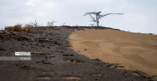 اعتراص شماری از فعالان محیط زیست خوزستان اعتراص شماری از فعالان محیط زیست خوزستان