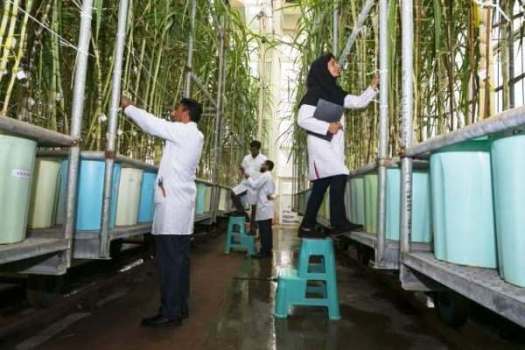 پیش‌گام در کشاورزی مُدرن؛ رشد تولید باتکیه‌ بر دانش