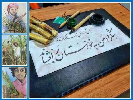 هنرمندانی که نگاه‌های شیرین کاشتند