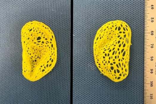 پژوهشگران گوش انسان را چاپ کردند! پژوهشگران گوش انسان را چاپ کردند!