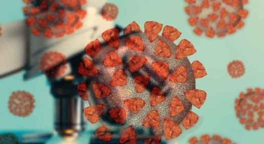  آلمان رکورددار فوتی های روزانه