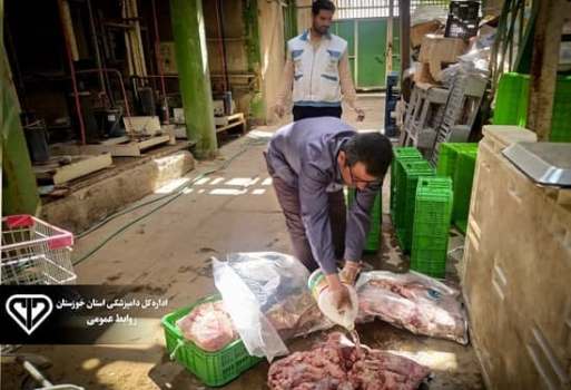 ۶۸۰ هزار کیلو فرآورده های دامی ناسالم نابود شد