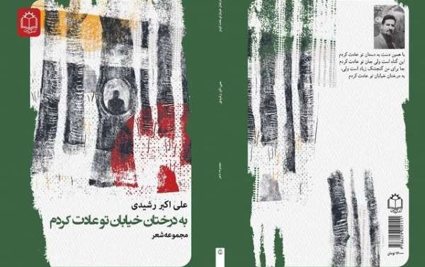 ‌مجموعه‌ شعر 