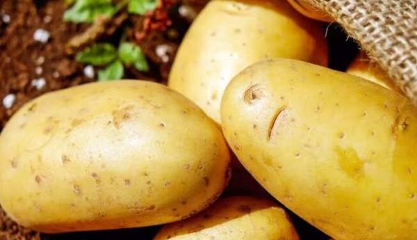 هشدار! مصرف این سیب‌زمینی‌ها خطرناک است