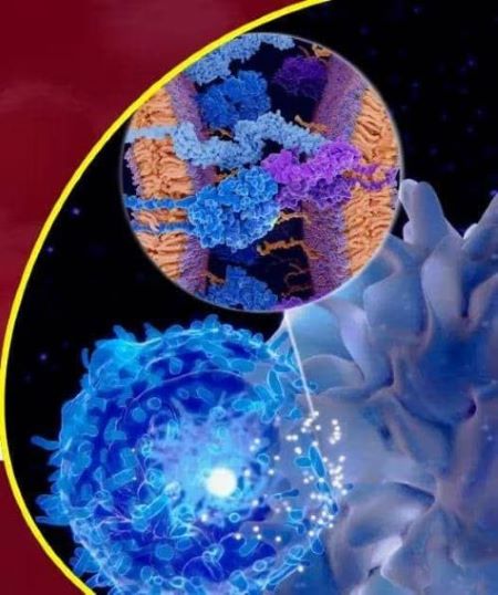 واکسنهایی برای جلوگیری از سِقط جنین واکسنهایی برای جلوگیری از سِقط جنین