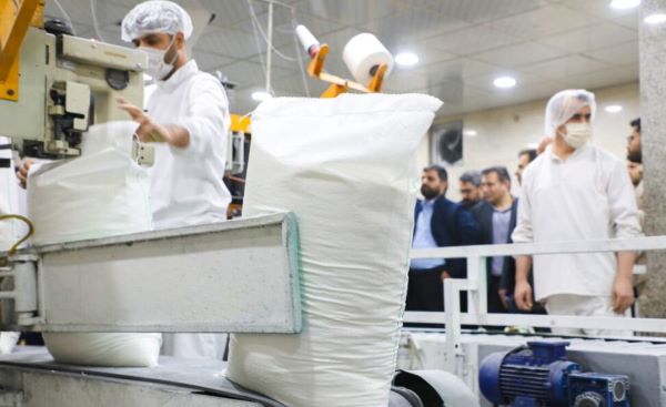 فرآوری شکر از مرز نیممیلیون تُن گذشت فرآوری شکر از مرز نیممیلیون تُن گذشت