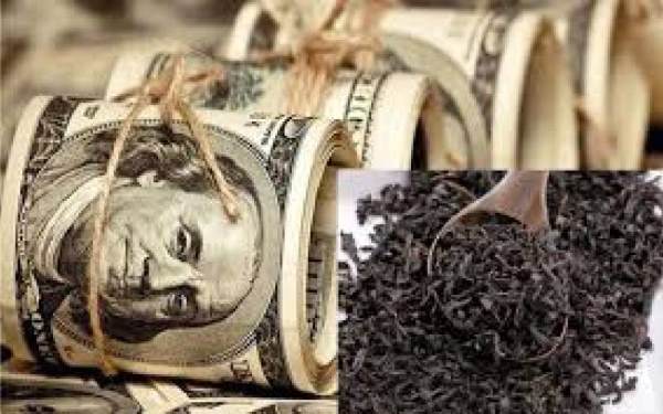 عجایب پرونده چای دبش تمامی ندارد! عجایب پرونده چای دبش تمامی ندارد!