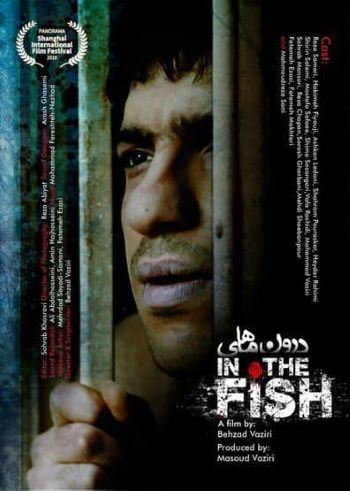 دومین حضور فیلم 