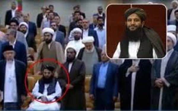 دعوت کنندگان طالبان باید توبیخ شوند