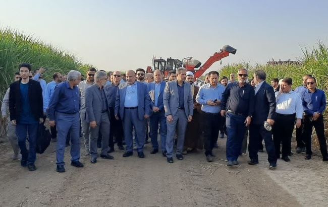 کشت و صنعت دهخدا سرسبزتر از اهواز!