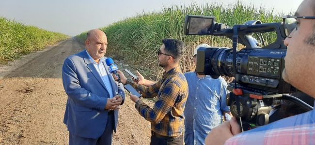 کشت و صنعت دهخدا سرسبزتر از اهواز!