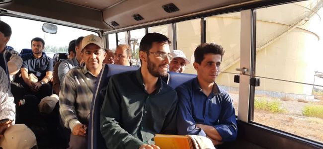 کشت و صنعت دهخدا سرسبزتر از اهواز!