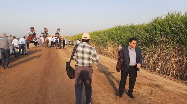 کشت و صنعت دهخدا سرسبزتر از اهواز!