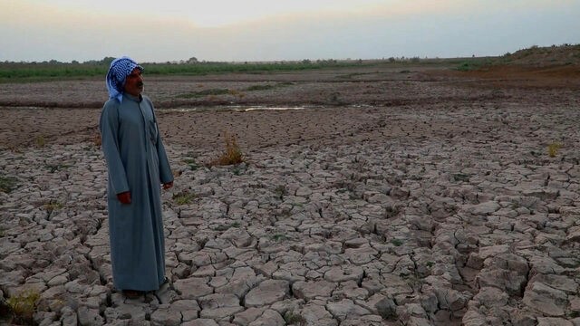 «کارون _ اهواز» «باوی» در «مصر» درخشید