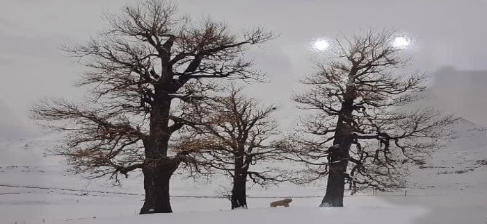کتاب «ولات» در اهواز ریگشود! کتاب «ولات» در اهواز ریگشود!