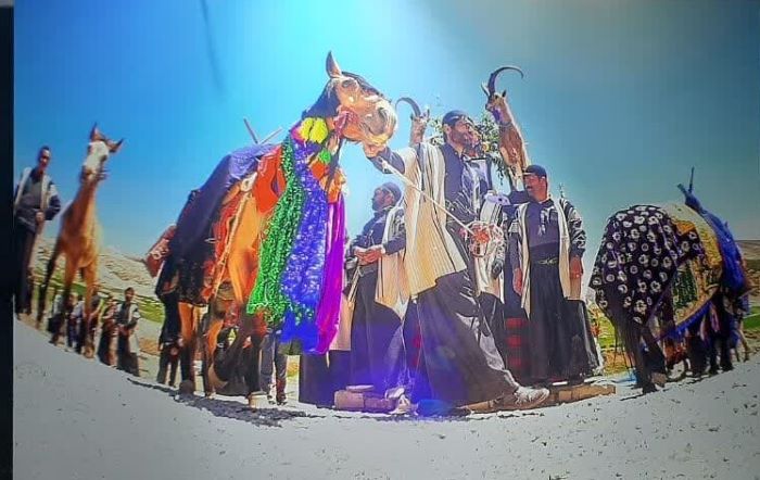 کتاب «ولات» در اهواز ریگشود! کتاب «ولات» در اهواز ریگشود!