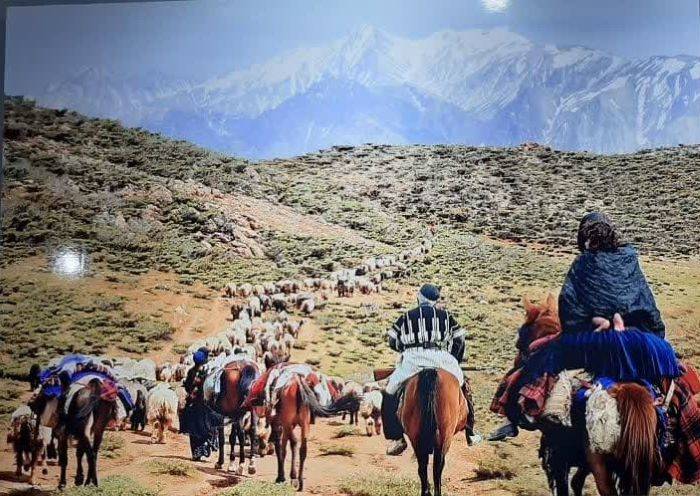 کتاب «ولات» در اهواز ریگشود! کتاب «ولات» در اهواز ریگشود!