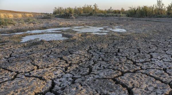 «نفت» آب می نوشد؛ «تالاب» آتش! «نفت» آب می نوشد؛ «تالاب» آتش!