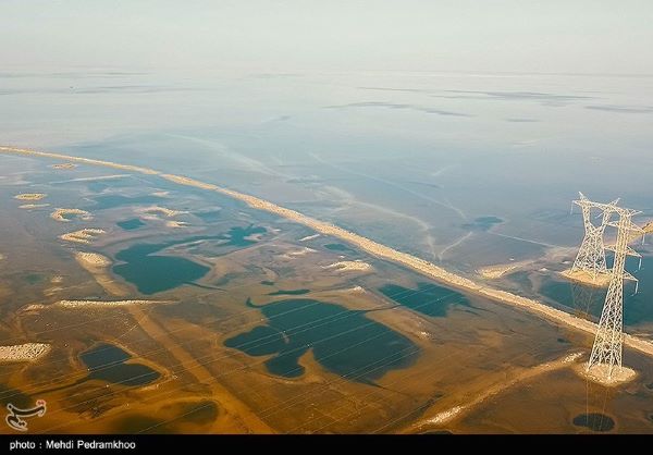 «نفت» آب می نوشد؛ «تالاب» آتش! «نفت» آب می نوشد؛ «تالاب» آتش!
