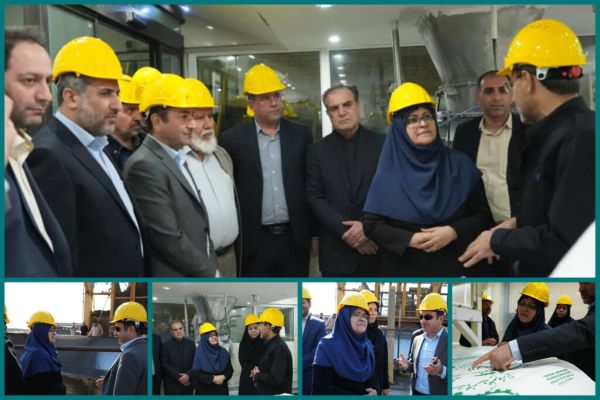 کیفیت فرآورده های نیشکر فراتر از انتظار است کیفیت فرآورده های نیشکر فراتر از انتظار است