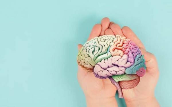 با این روغن مغز خود را تقویت کنید