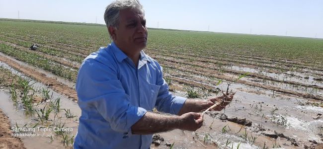 «فارابی»؛ همزیستی علم، صنعت و زیست‌بوم