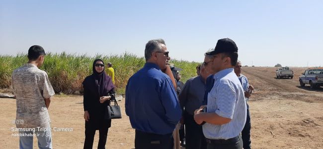 «فارابی»؛ همزیستی علم، صنعت و زیست‌بوم