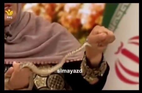 یک مار در برنامه 