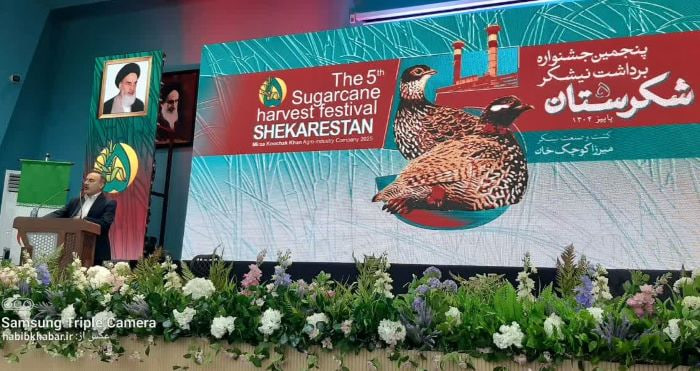 خوزستان یوسف ایران است/ نیشکر، استعاره‌ای از آینده شیرین