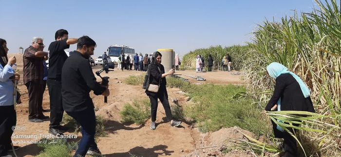 بازدید شاعران و نویسندگان از مزارع نیشکر؛ نگاهی انسانی به یک توسعه شیرین