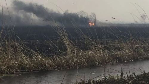 آتش هورالعظیم عراق مدارس خوزستان را تعطیل کرد! آتش هورالعظیم عراق مدارس خوزستان را تعطیل کرد!