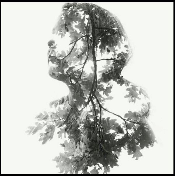 نویسنده و منتقد ادبی درگذشت