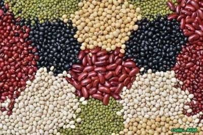 جزییات جدید از قیمت حبوبات در بازار