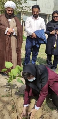 کاشت نهال انجیر به یاد قاسم آهنین‌جان