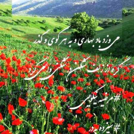 با طبیعت مهربان تر باشیم با طبیعت مهربان تر باشیم