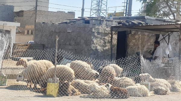 مدیریت شهری اهواز چه می کند؟ مدیریت شهری اهواز چه می کند؟