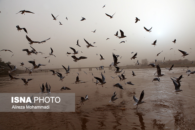 ما را با خود ببر از این غبار!